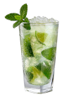 Mojito